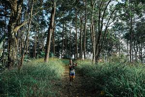 BIB: 
                            <button type="button" onclick="openModal(25657101)" class="btn btn-primary btn-sm float-right btn-popup" data-toggle="modal" data-target=".modal-high-quality">
                        <i class="fas fa-shopping-cart"></i> Add to Cart
                    </button>
                                            <button type="button" onclick="isThisMe(25657101, true)" class="btn btn-success btn-sm float-right btn-popup btn-isme hidden" data-toggle="tooltip" data-placement="bottom" title="นี่คือรูปของคุณใช่ไหม คลิกที่นี่เพื่อเอาเข้าอัลบั้ม">
                        <i class="fas fa-plus"></i> Add to album
                    </button>
                    <button type="button" onclick="isThisMe(25657101, false)" class="btn btn-warning btn-sm float-right btn-popup btn-isnotme hidden">
                        <i class="fas fa-ban"></i> Remove from album
                    </button>